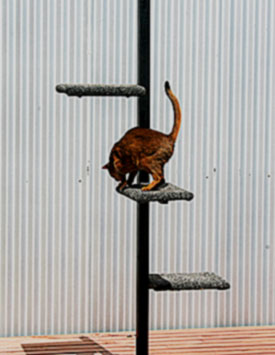 Cat Tree-Three Tier