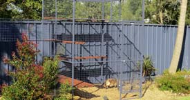 Garden Playground