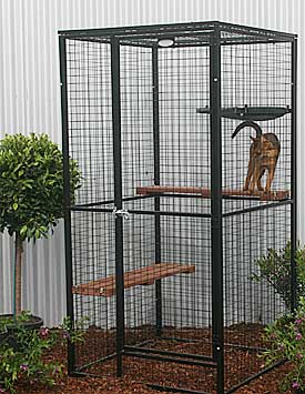 Medium Cat Enclosure