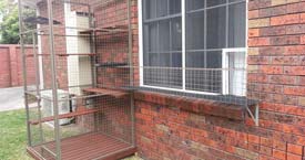 Window Escape